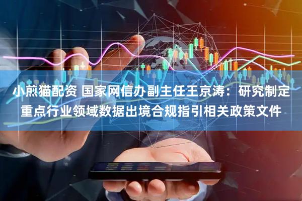 小煎猫配资 国家网信办副主任王京涛：研究制定重点行业领域数据出境合规指引相关政策文件