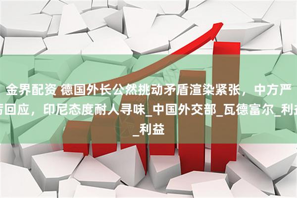 金界配资 德国外长公然挑动矛盾渲染紧张，中方严厉回应，印尼态度耐人寻味_中国外交部_瓦德富尔_利益